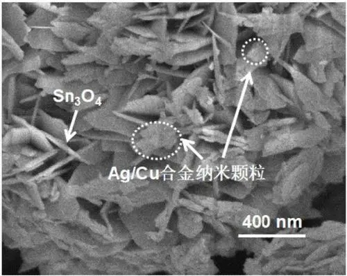 国家重点研发计划“高效催化材料的高通量预测、制备和应用”项目正式启动